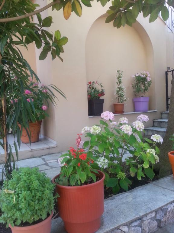 Maria Studios Skiathos מראה חיצוני תמונה